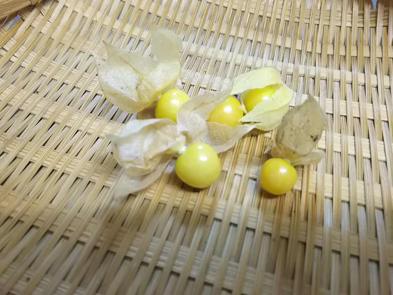 イメージ 6