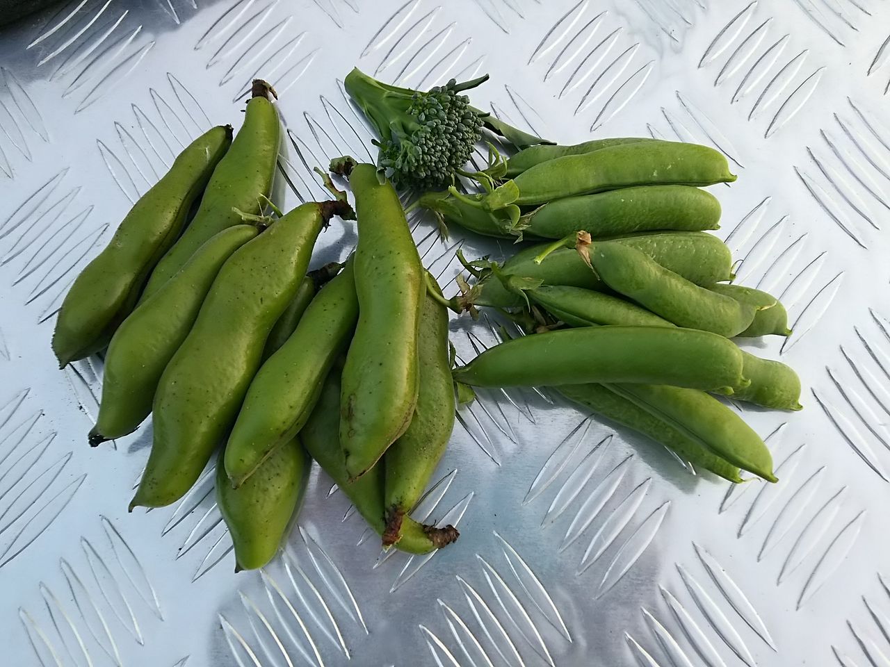 イメージ 6