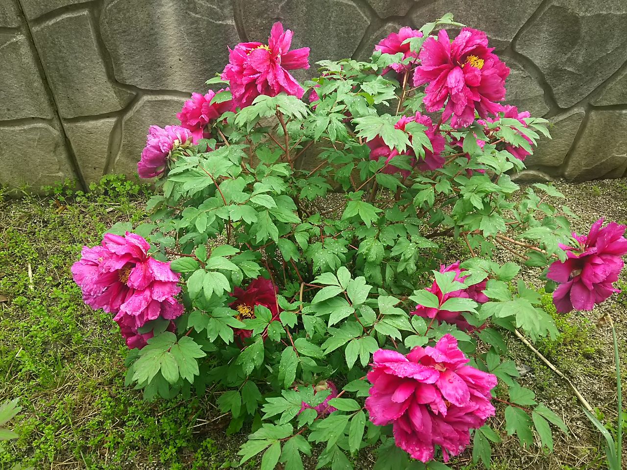 イメージ 10