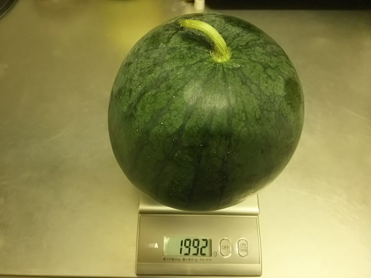 イメージ 5