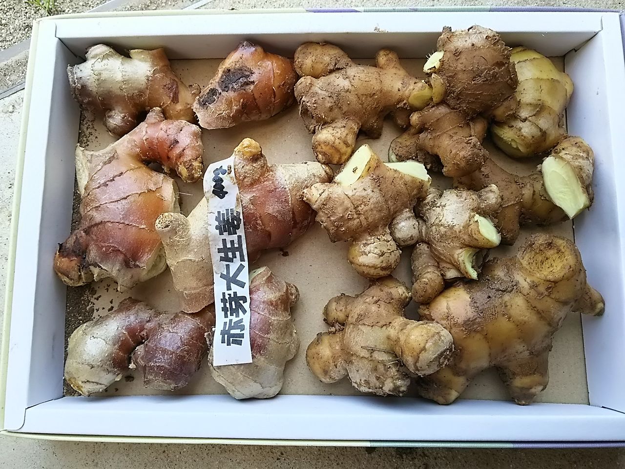イメージ 5