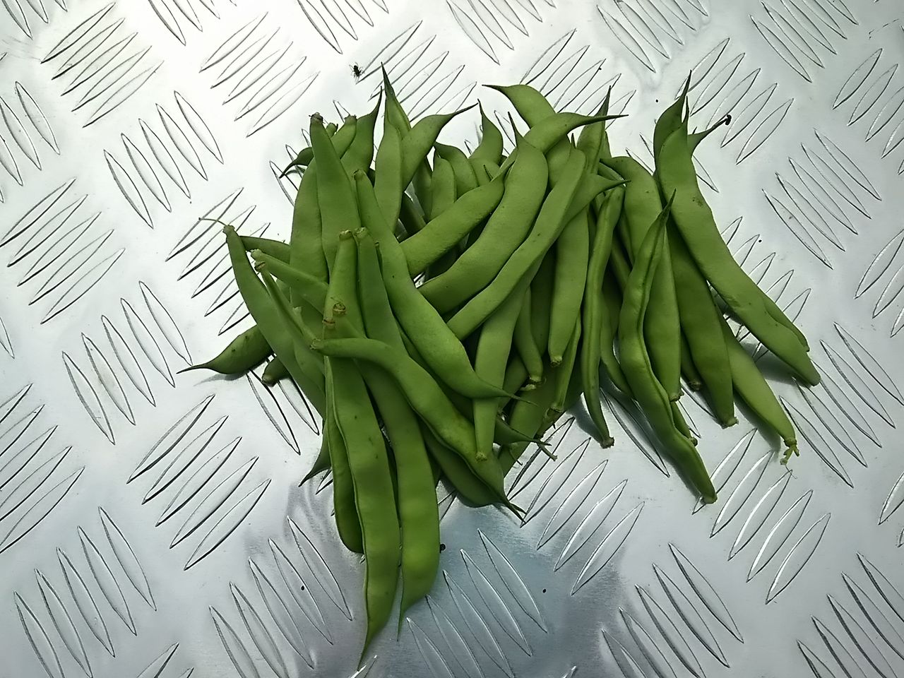 イメージ 6