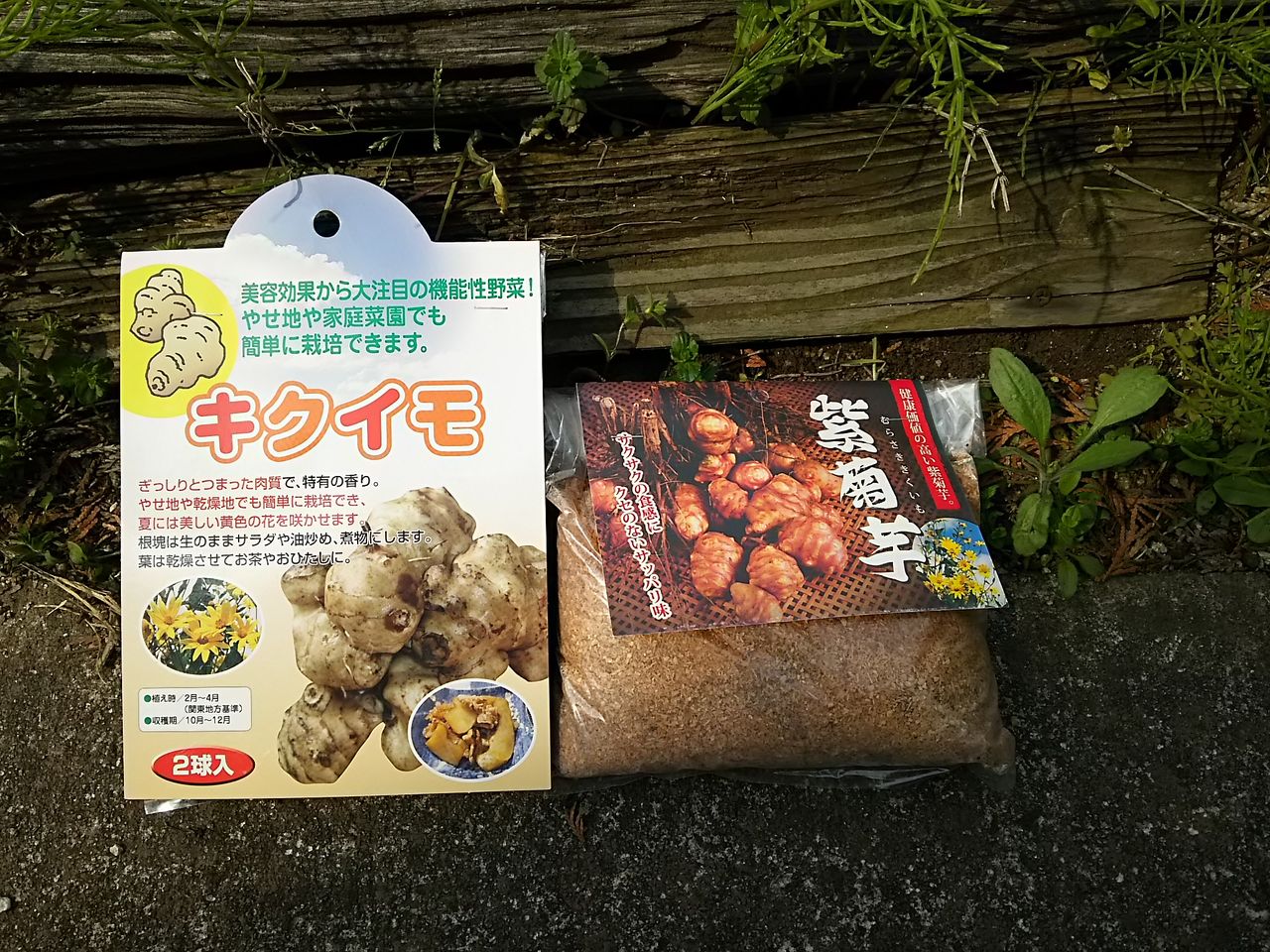 イメージ 8