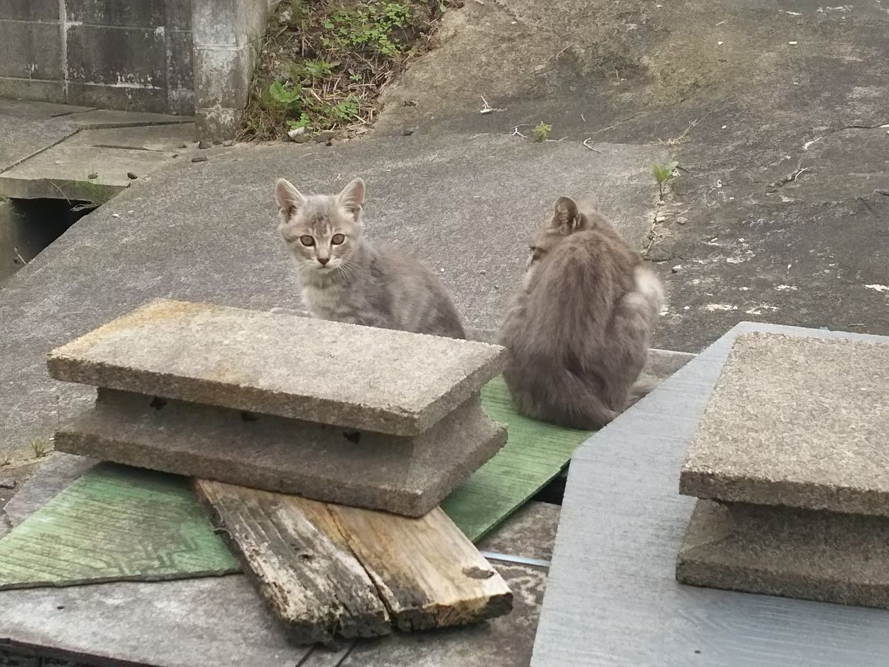 イメージ 3