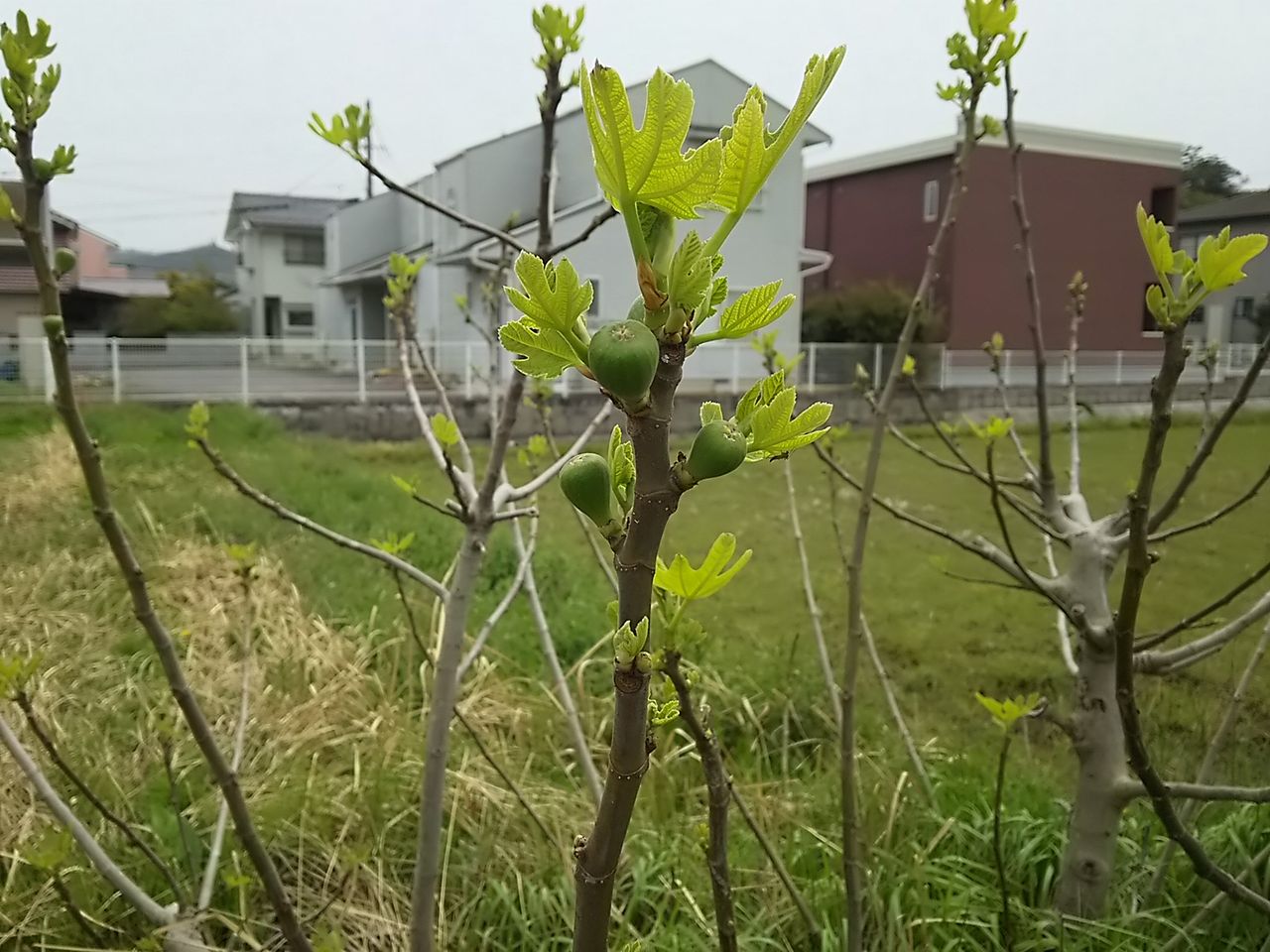 イメージ 7