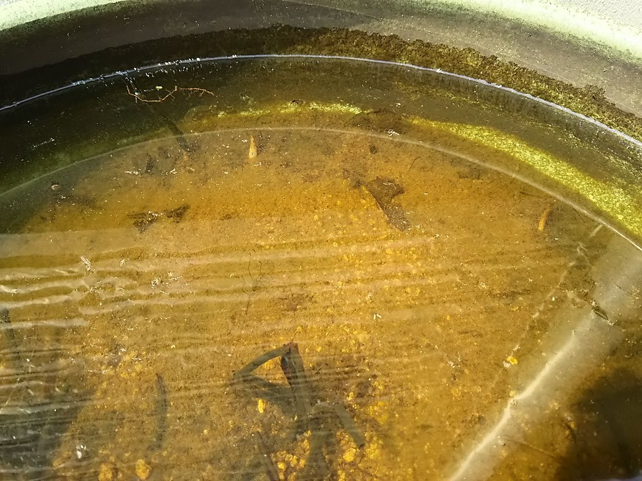 イメージ 7