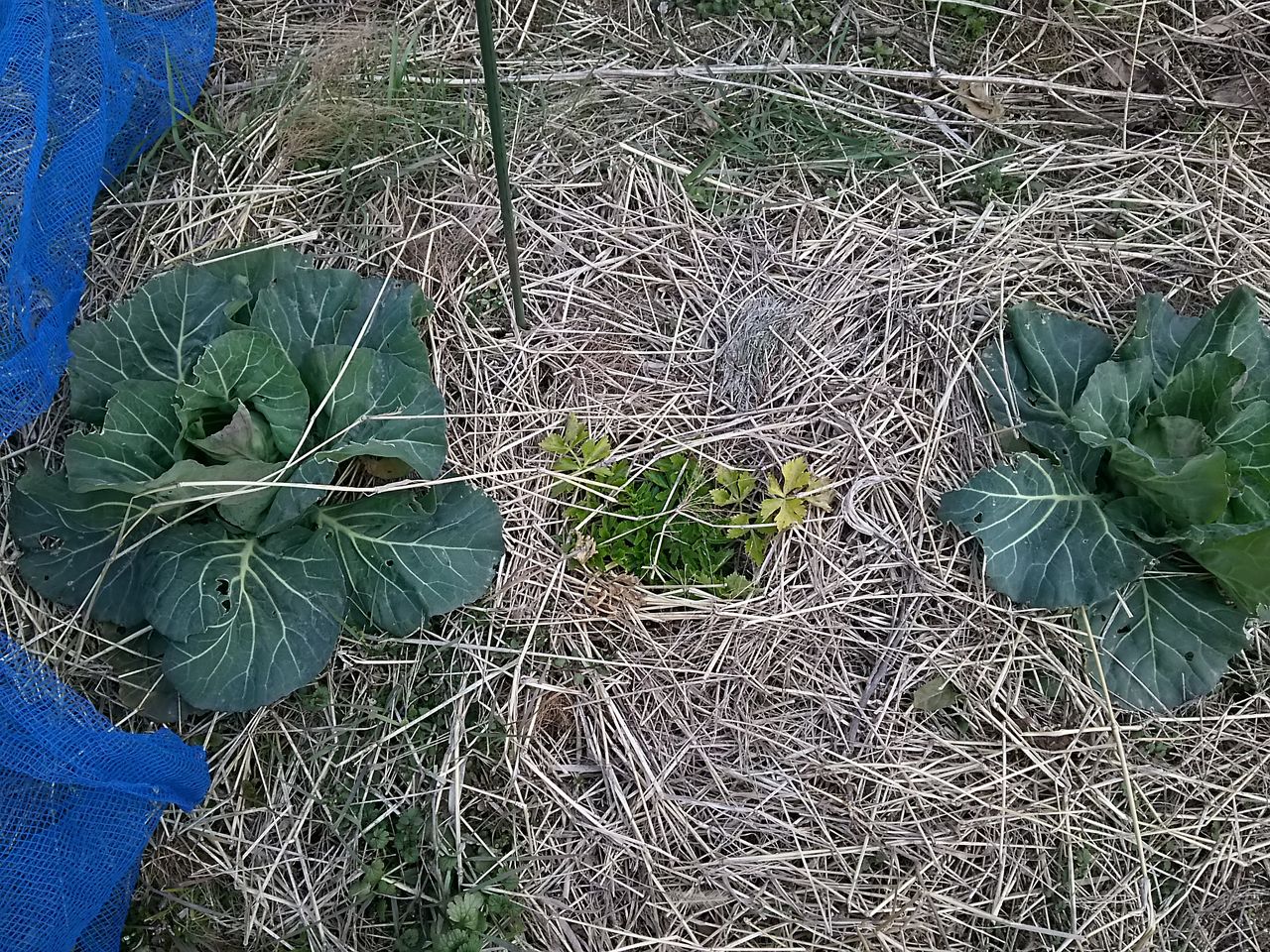 イメージ 6
