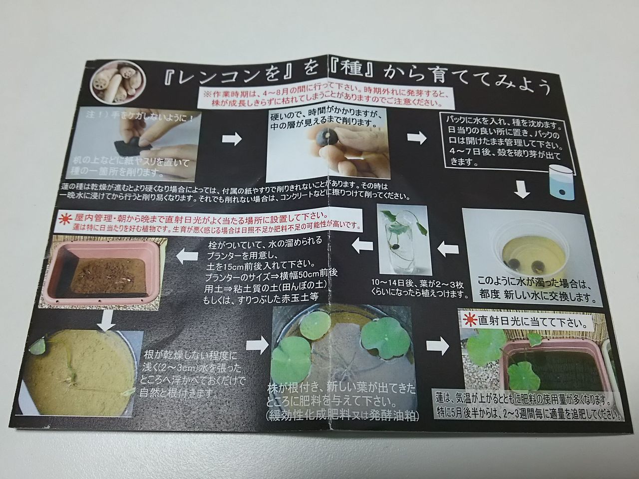 イメージ 2