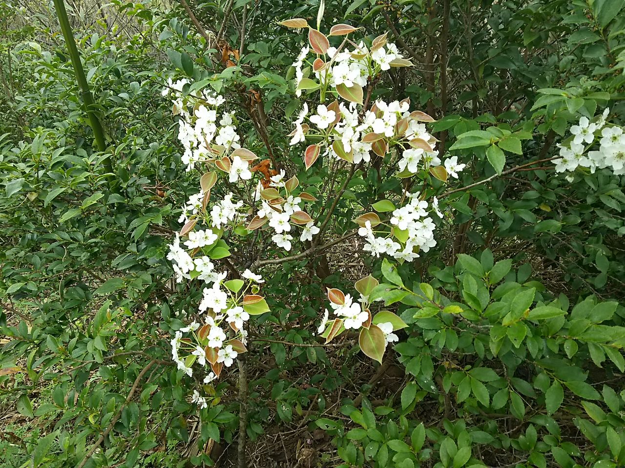 イメージ 3