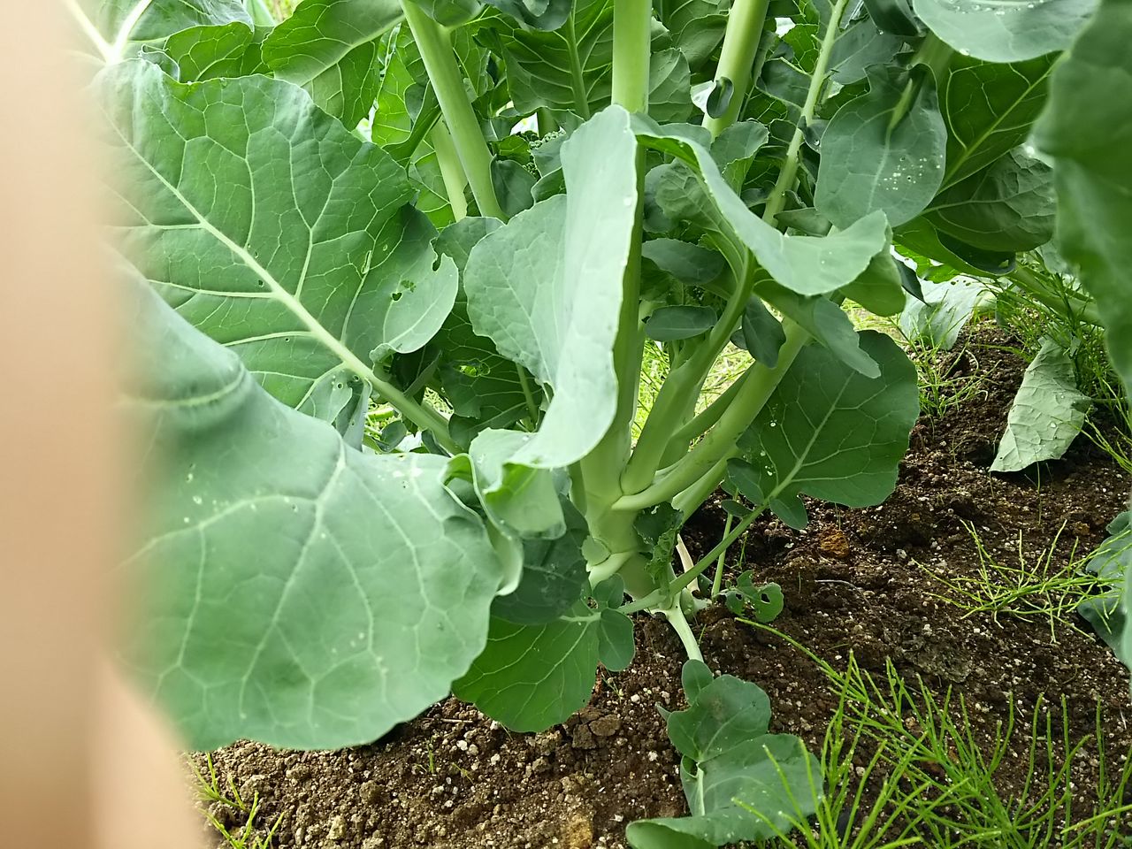 イメージ 8