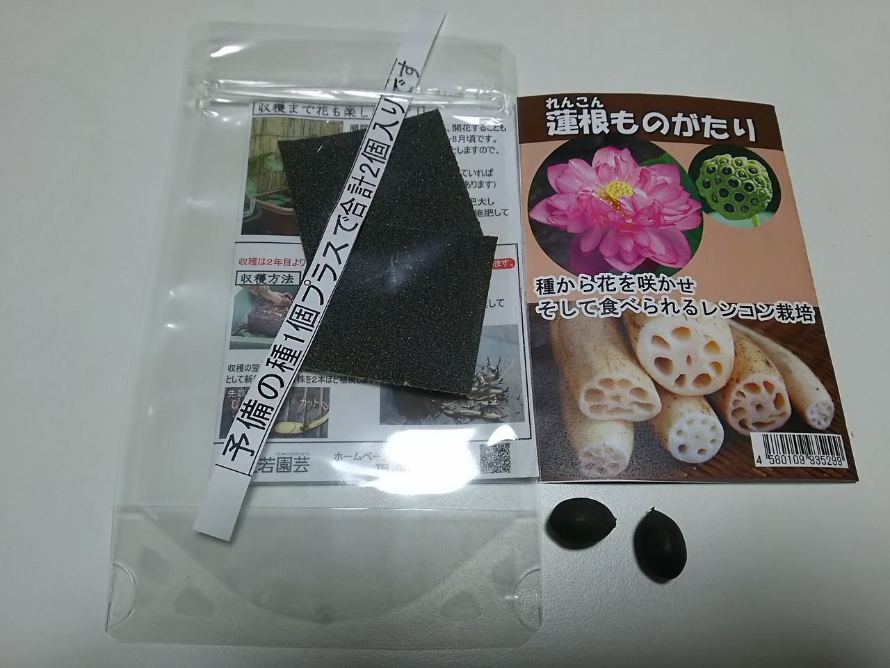 イメージ 1