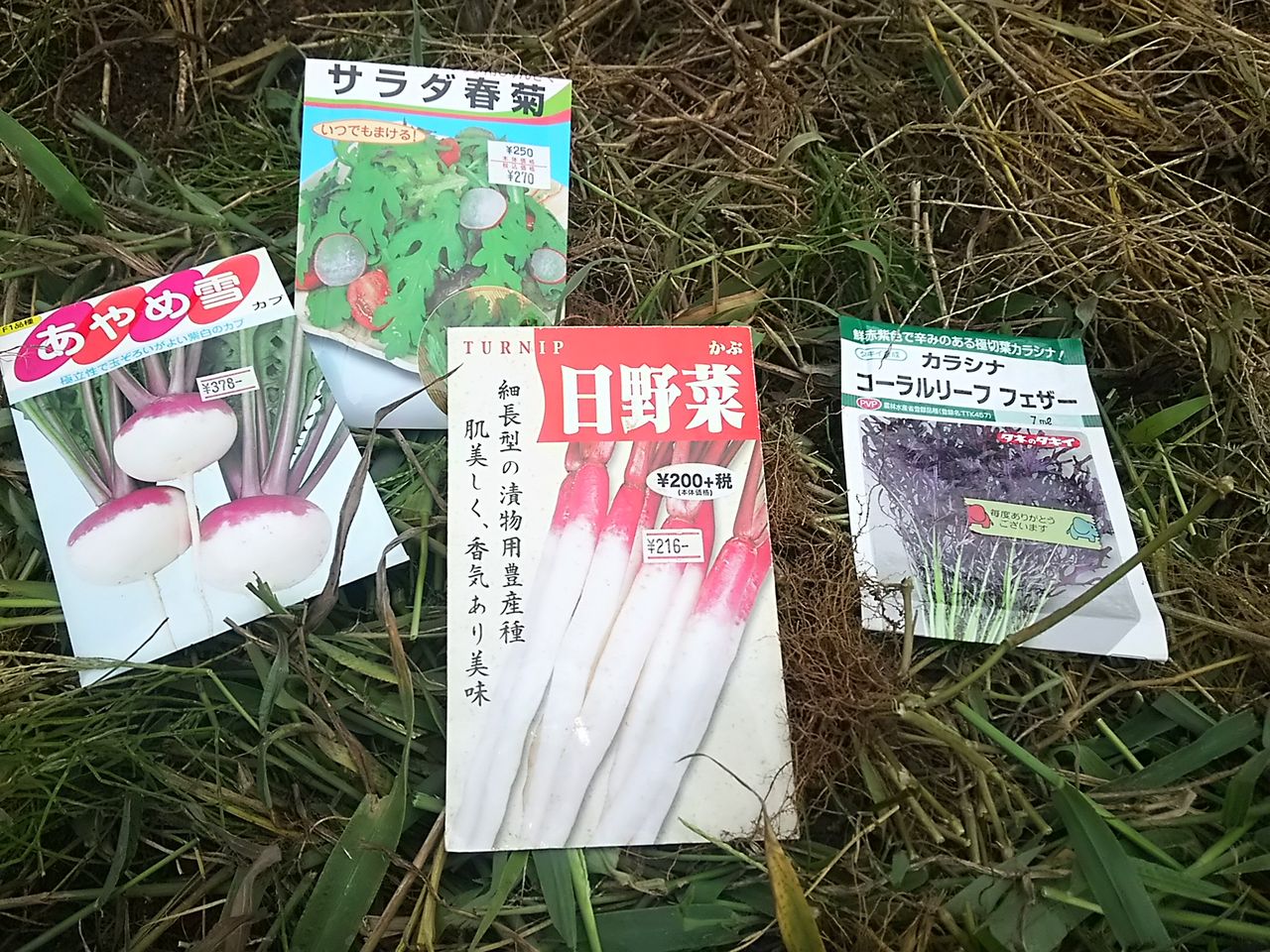 イメージ 3
