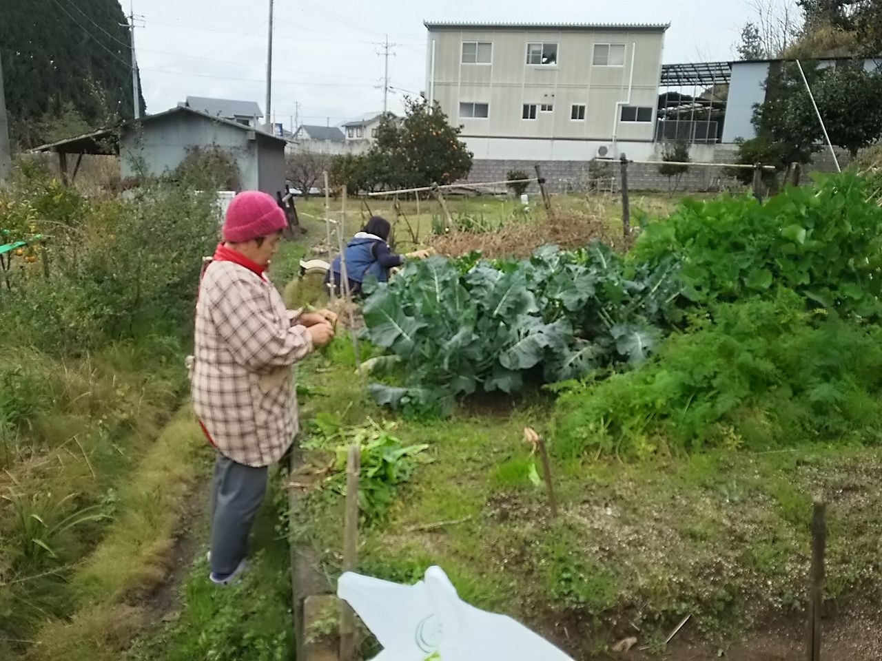 イメージ 5