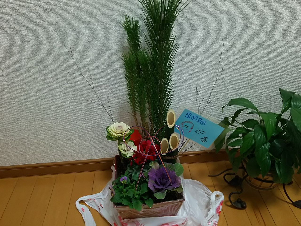 イメージ 5