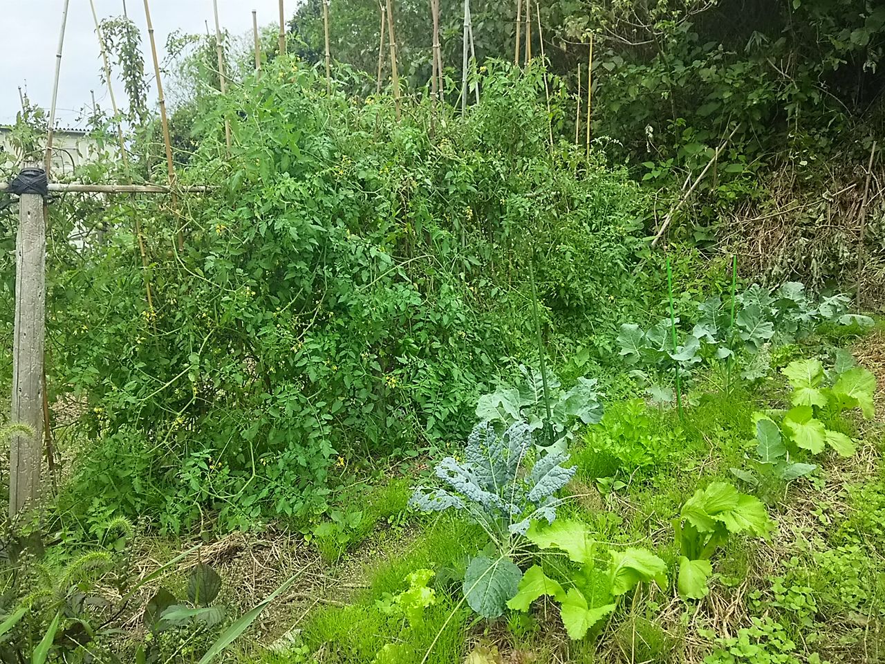 イメージ 1