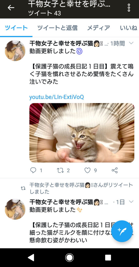 速報 毛並みフサフサの捨て猫を拾ったyoutuberさん 謝罪 引退へ Nanjpost なんｊまとめ