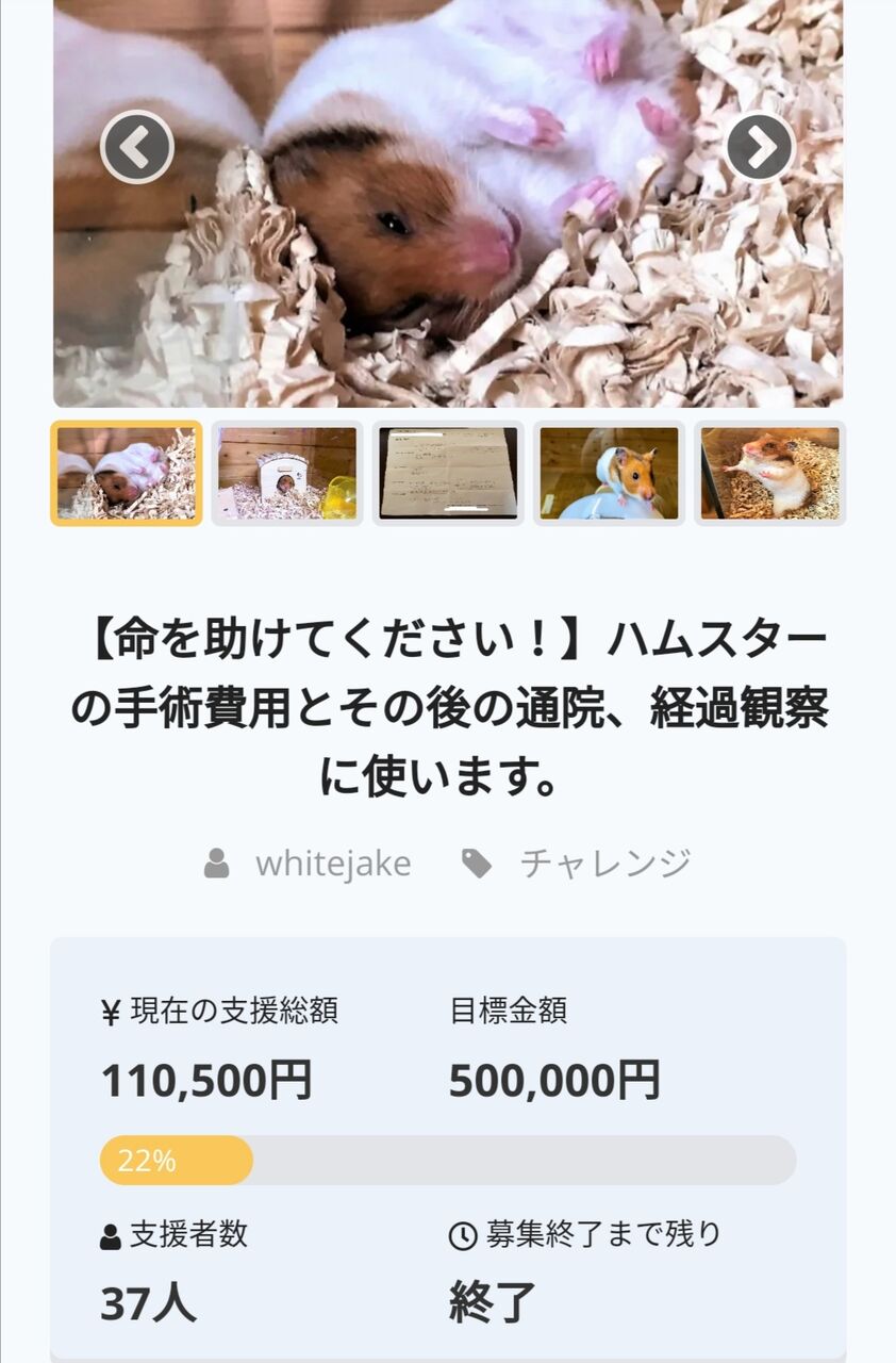 悲報 3億円を集めて心臓移植の陽茉莉ちゃん亡くなる Nanjpost なんｊまとめ