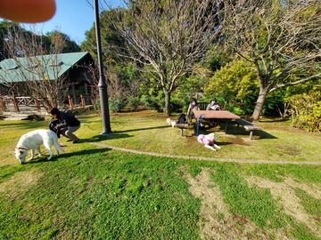 20191214_100107