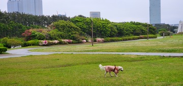 20200504_062509