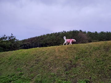 20191126_064124