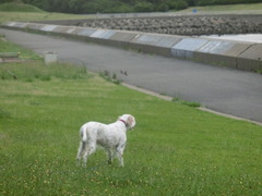 CIMG0088