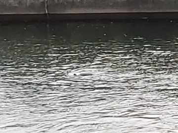 20191028_061730