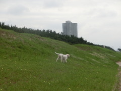CIMG0038