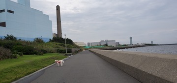 20200728_052314