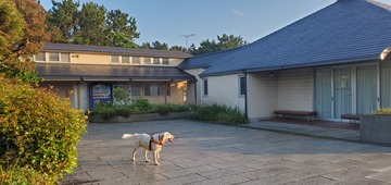 20200602_051630