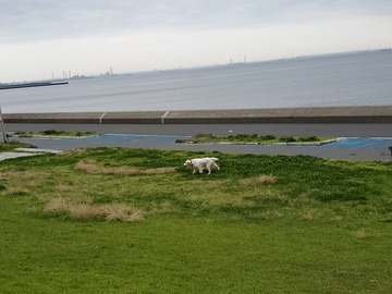 20190711_053147