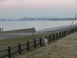 CIMG2280