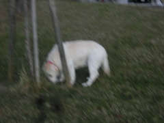 CIMG0798
