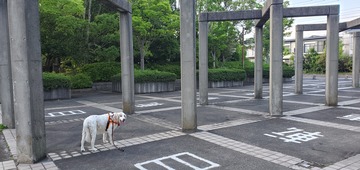 20200523_162113