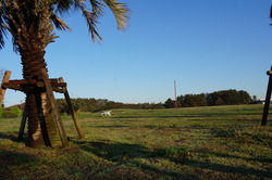 DSC01197