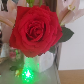 20201224_125530(0)