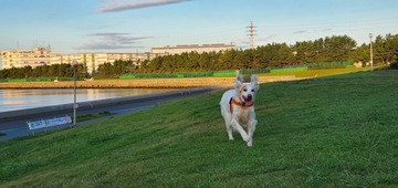 20200928_060924