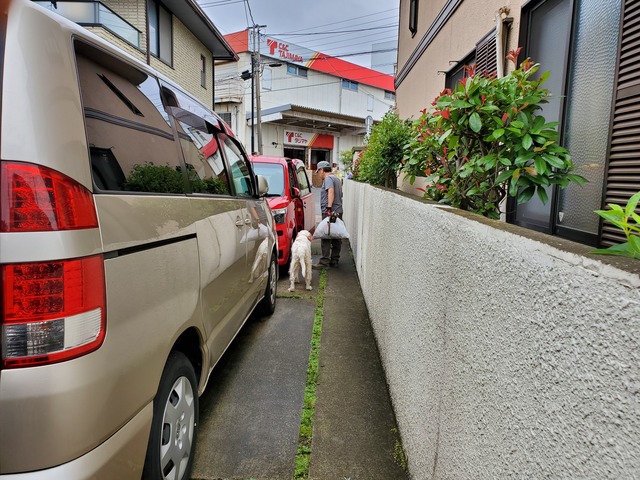 20190628_083736