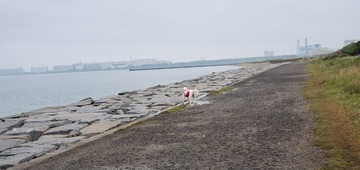 20200523_053103