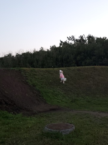 20191211_063716
