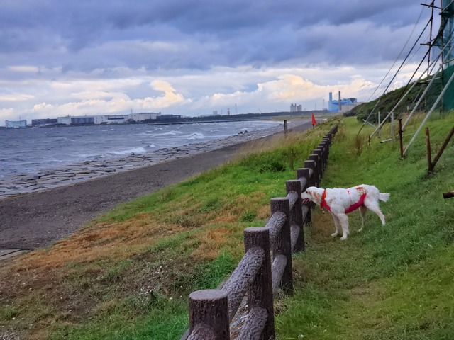 20190616_052552