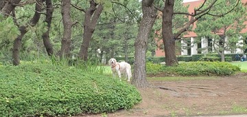 20200724_085310