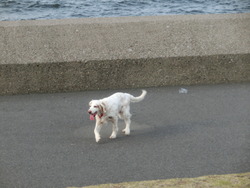 CIMG0349