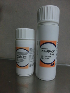 CIMG8491