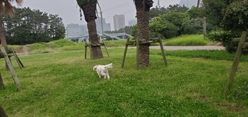 20200627_050435