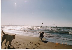IMG_20150113_0013