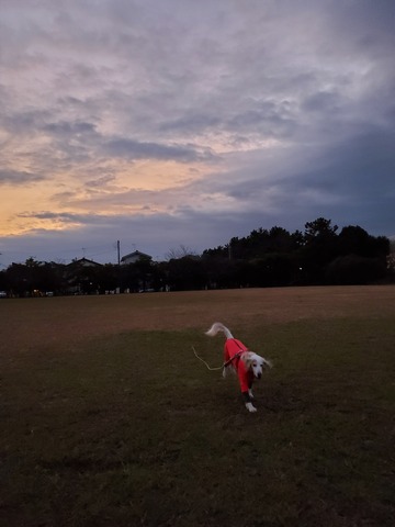 20191219_062346