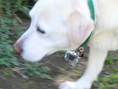 CIMG0552