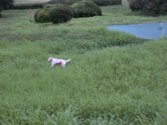 CIMG0018