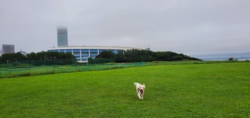 20200716_052613