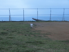 CIMG0024